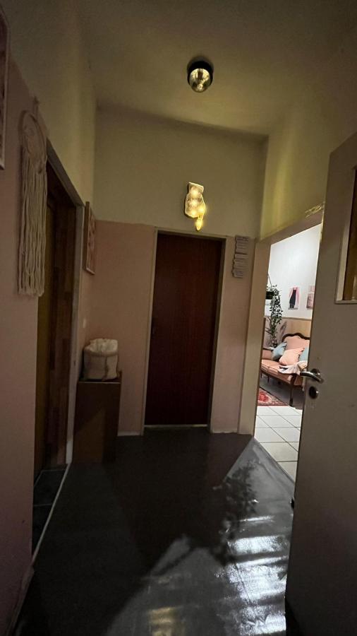Appartamento Monteure, Ganzes Haus, Schwarzheide, Haus 1 Esterno foto